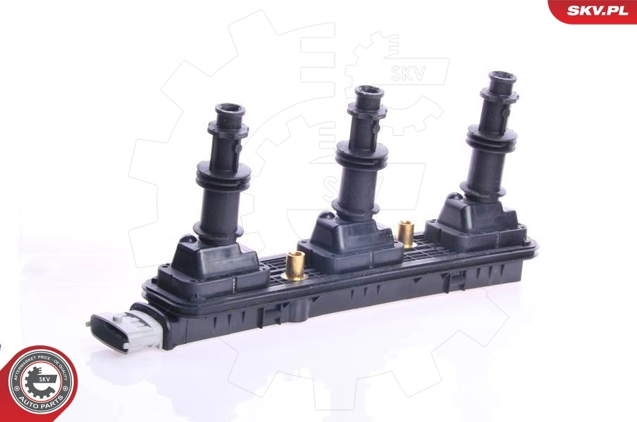 Ignition Coil